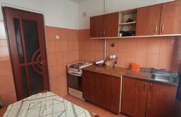 Apartament 2 camere, Ultracentral, Zona English Park