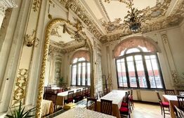 Casa boiereasca ultracentral, restaurant, 493 mp utili