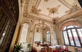 Casa boiereasca ultracentral, restaurant, 493 mp utili