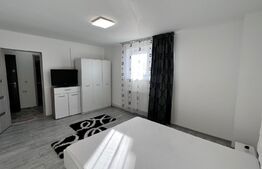 Garsoniera spatioasa, mobilata modern, zona 1 Mai 