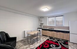  Garsoniera mobilata si utilata, zona 1 mai 