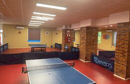 Spatiu comercial, 220 mp zona centrala