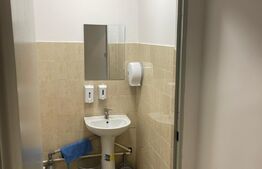 Spatiu comercial, 220 mp zona centrala