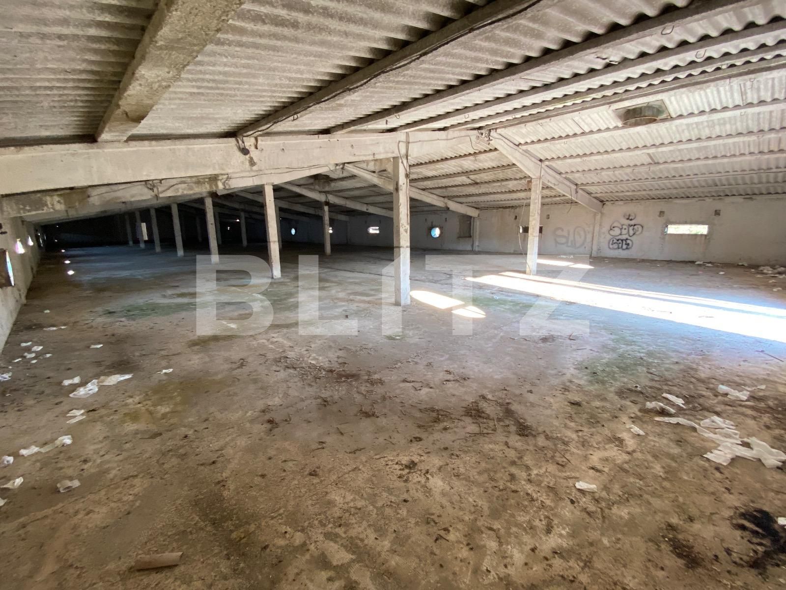 Spațiu industrial de închiriat Exterior Est - 107941SII | BLITZ Craiova | Poza2