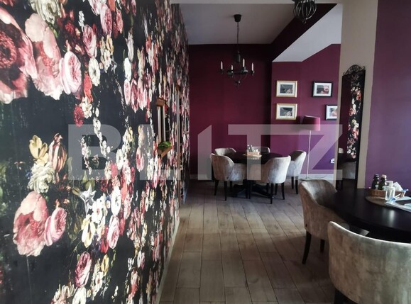 Spațiu comercial de vânzare Filiaşi - 107947SVC | BLITZ Craiova | Poza2