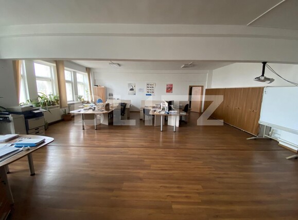 Spațiu birouri de închiriat Lapus - 107967SIB | BLITZ Craiova | Poza11
