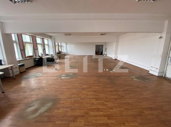 Spațiu birouri de închiriat Lapus - 107967SIB | BLITZ Craiova | Poza16