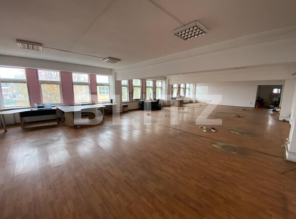 Spațiu birouri de închiriat Lapus - 107967SIB | BLITZ Craiova | Poza1