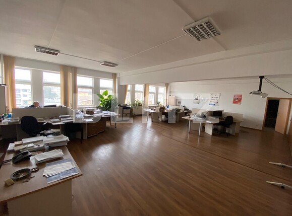 Spațiu birouri de închiriat Lapus - 107967SIB | BLITZ Craiova | Poza13