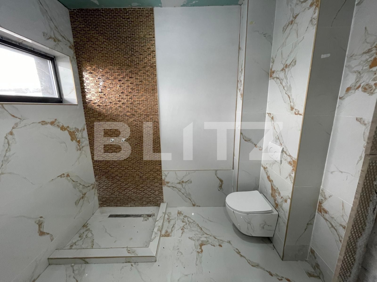 Casa de vânzare 3 camere Lapus Arges - 108026CV | BLITZ Craiova | Poza4