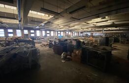 Spatiu industrial, 2500 mp, etaj 1, zona Lapus