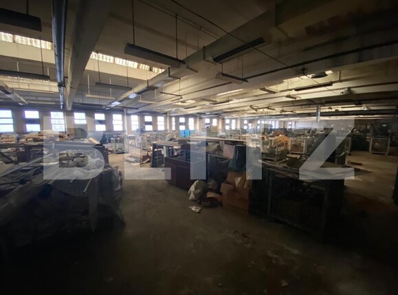 Spațiu industrial de închiriat Lapus - 108052SII | BLITZ Craiova | Poza2
