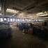 Spațiu industrial de închiriat Lapus - 108052SII - Poza 1 din 6 | BLITZ Craiova | Poza2