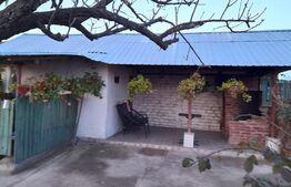 Casă pe parter, 110 mp utili, 1.592 mp teren, Balș