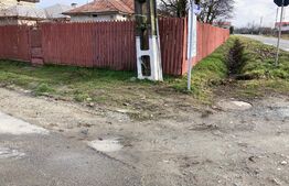 Casă pe parter, 110 mp utili, 1.592 mp teren, Balș