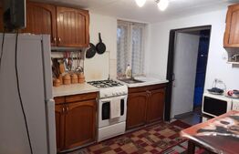 Casă pe parter, 110 mp utili, 1.592 mp teren, Balș