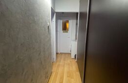 Apartament 3 camere, 55 mp, Rovine, zona Profi