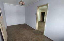 Apartament de 2 camere, etaj intermediar, zona Stadion Valea Rosie