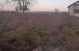 Teren extravilan de 4700mp, zona Centrala- Filiasi