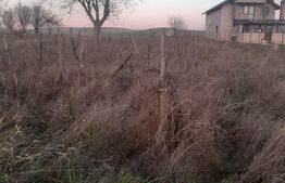 Teren extravilan de 4700mp, zona Centrala- Filiasi