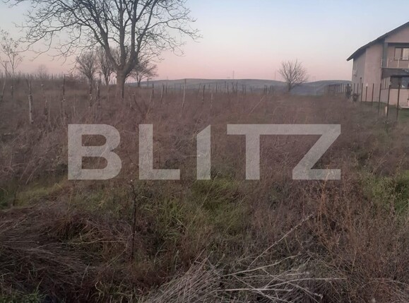 Teren de vânzare Filiaşi - 108249TV | BLITZ Craiova | Poza1