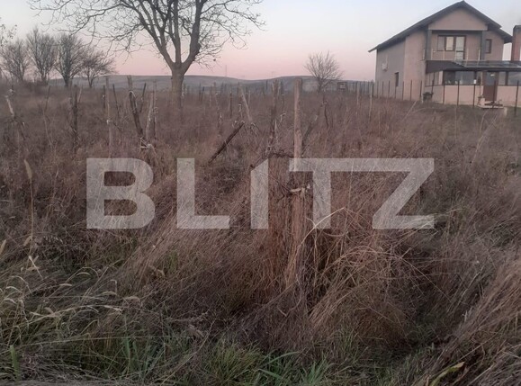 Teren de vânzare Filiaşi - 108249TV | BLITZ Craiova | Poza2