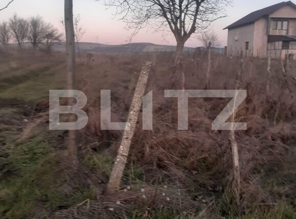 Teren de vânzare Filiaşi - 108249TV | BLITZ Craiova | Poza3
