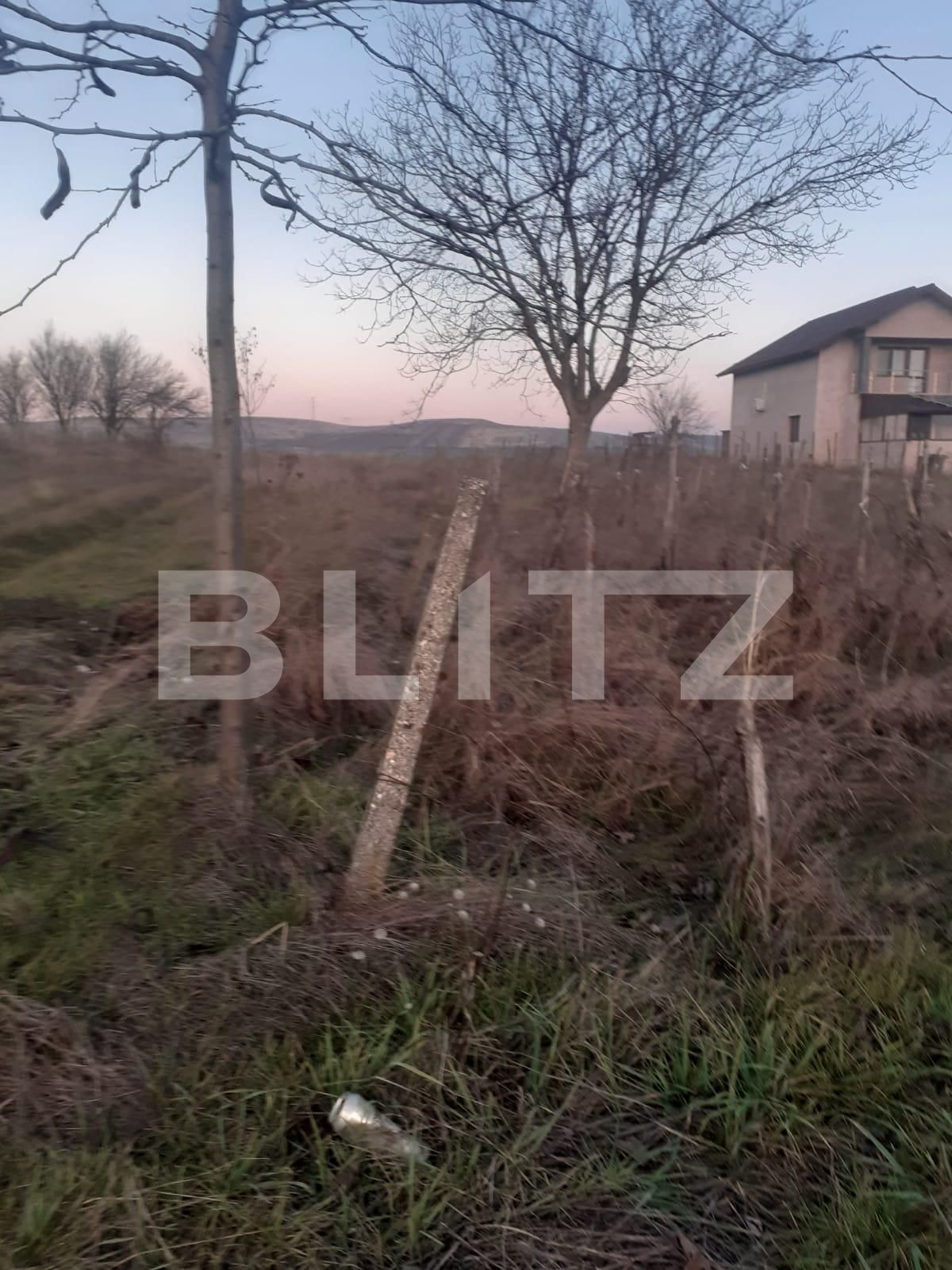 Teren de vânzare Filiaşi - 108249TV | BLITZ Craiova | Poza3