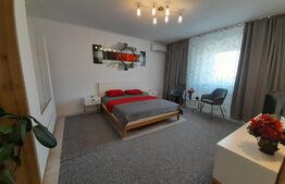 Garsoniera moderna, 45 mp, centrala termica, zona Centrala.