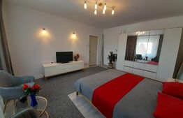 Garsoniera moderna, 45 mp, centrala termica, zona Centrala.