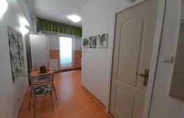 Garsoniera moderna, 45 mp, centrala termica, zona Centrala.