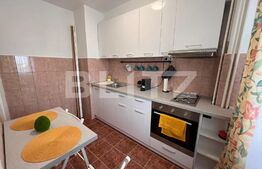 Garsoniera moderna, 44 mp, Centrala termica zona McDonald's