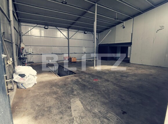 Spațiu industrial de închiriat Aeroport - 108903SII | BLITZ Craiova | Poza7