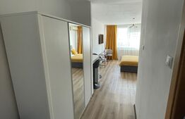 Garsoniera, 27 mp, Calea Bucuresti, zona Rotonda