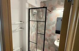 Garsoniera, 27 mp, Calea Bucuresti, zona Rotonda