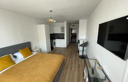 Garsoniera, 27 mp, Calea Bucuresti, zona Rotonda