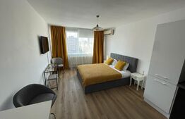 Garsoniera, 27 mp, Calea Bucuresti, zona Rotonda