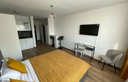 Garsoniera, 27 mp, Calea Bucuresti, zona Rotonda