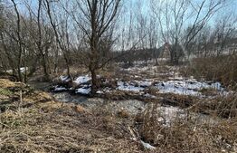 Teren intravilan 905 mp, Zona Albesti