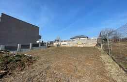 Teren intravilan 905 mp, Zona Albesti