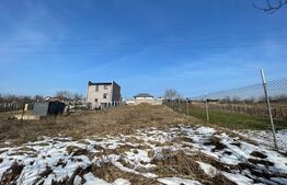 Teren intravilan 905 mp, Zona Albesti