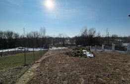 Teren intravilan 905 mp, Zona Albesti