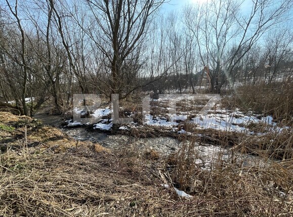 Teren de vânzare Albesti - 109114TV | BLITZ Craiova | Poza7