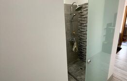 Apartament decomandat, 30 mp, Valea Rosie, zona Piata