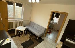Apartament decomandat, 30 mp, Valea Rosie, zona Piata