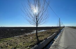 Investitie! Teren intravilan 30000 mp, zona Peugeot-Pielesti