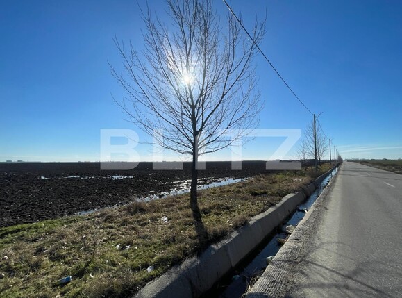 Teren de vânzare Pielești - 109327TV | BLITZ Craiova | Poza1