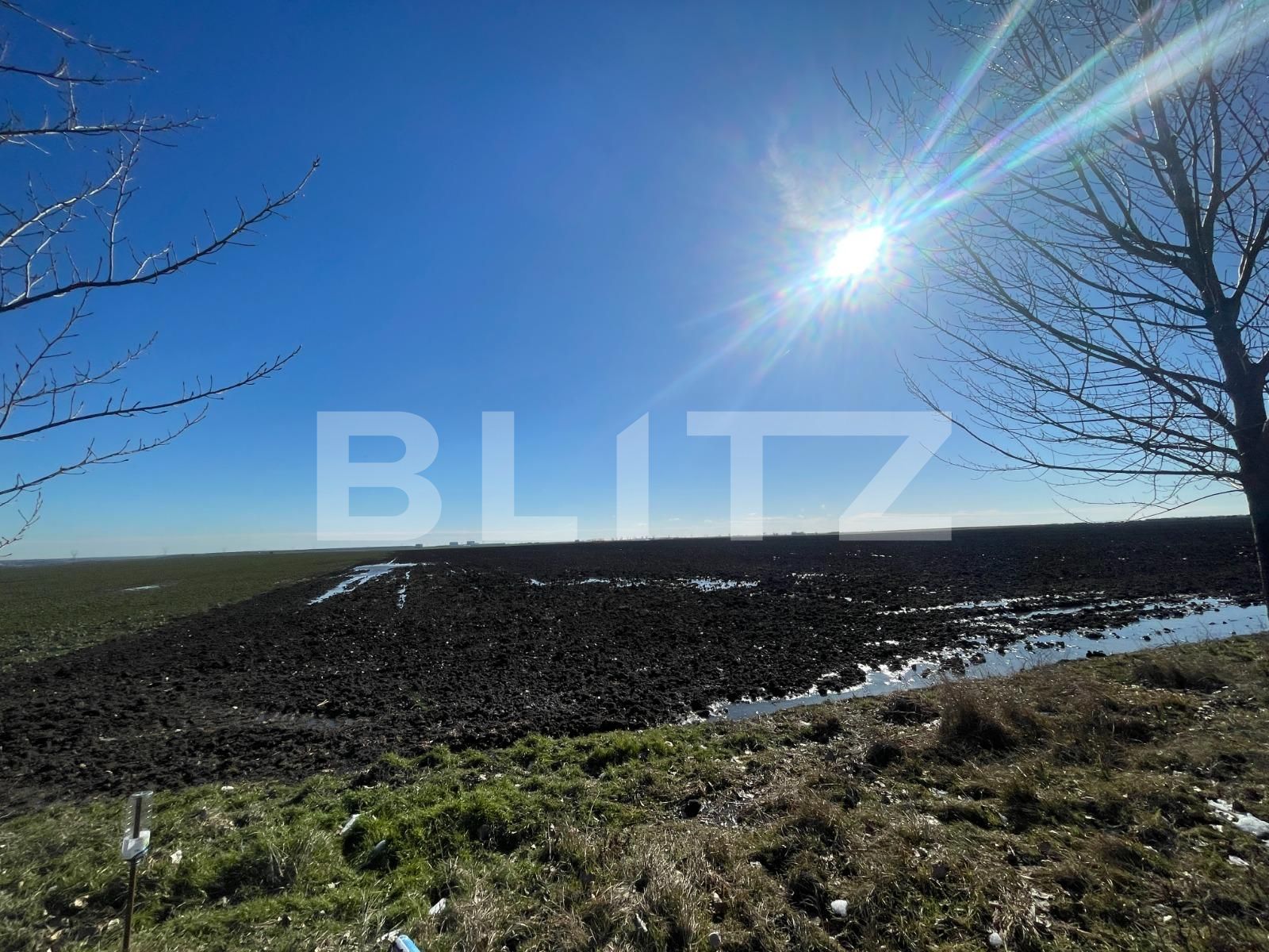 Teren de vânzare Pielești - 109327TV | BLITZ Craiova | Poza2