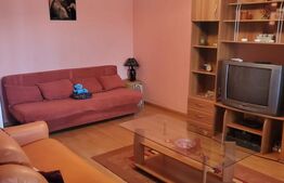 Garsoniera parter cu vad, zona Ciuperca