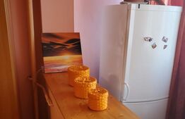 Garsoniera parter cu vad, zona Ciuperca